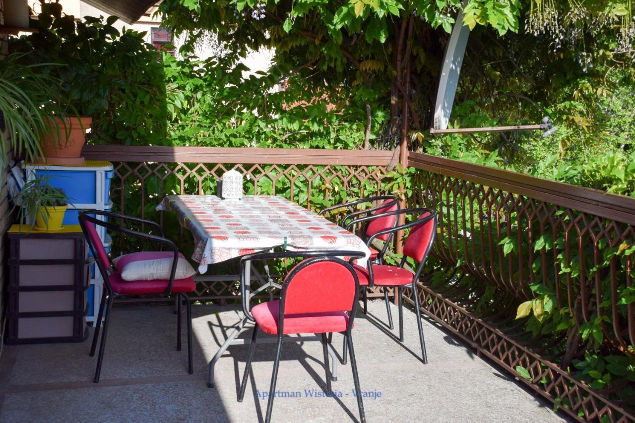 Apartman Wisteria Vranje Zewnętrze zdjęcie