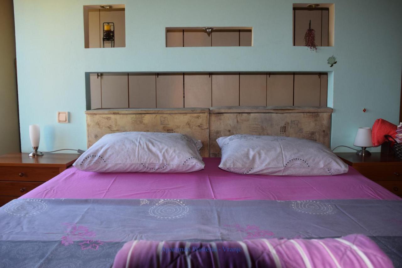 Apartman Wisteria Vranje Zewnętrze zdjęcie