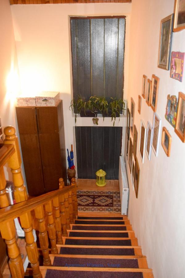 Apartman Wisteria Vranje Zewnętrze zdjęcie