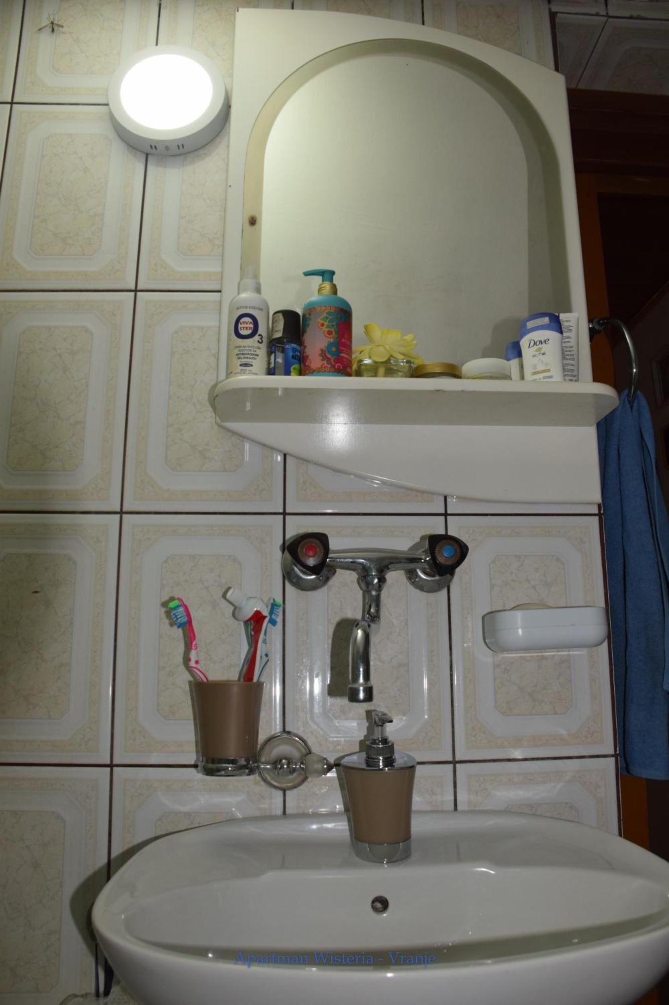 Apartman Wisteria Vranje Zewnętrze zdjęcie